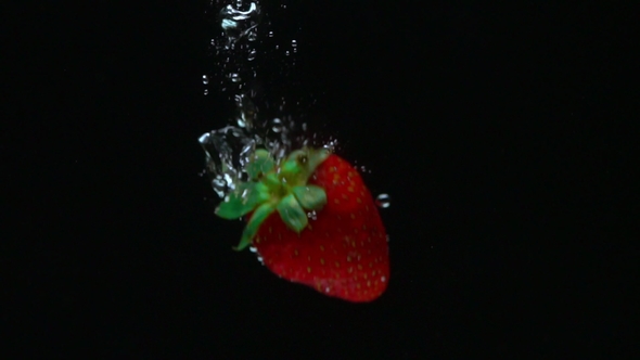 Shooting of Strawberry Coming Up After Sinking