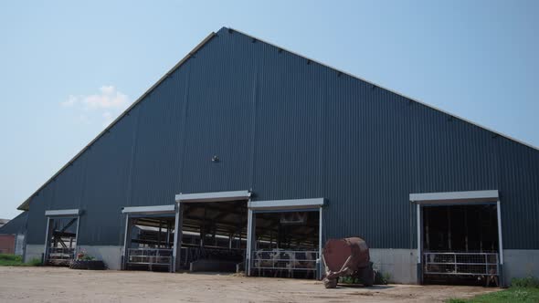 Big Modern Cow Shed on Agricultural Rural Ranch