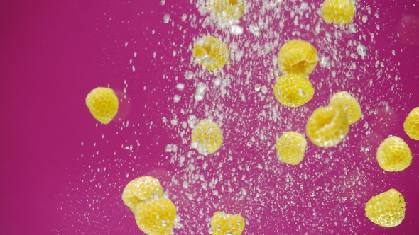 A Fresh Raspberries Are Splashing Into Water on Pink Background.