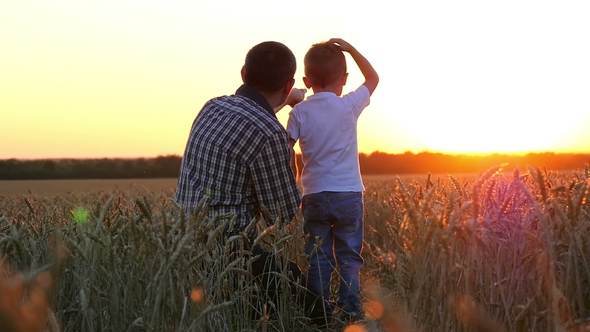 Happy Father and Child in a Wheat Field Watching the Sunset, Pointing Into the Distance