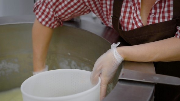 Two Female Worker of Small Cheese Factory Is Getting Cheese Mass From Metal Bowl of Machine and