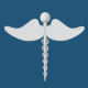 Medical Caduceus - 3DOcean Item for Sale