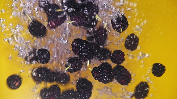 Many Fresh Blackberries Are Falling Into Water Against Yellow Background