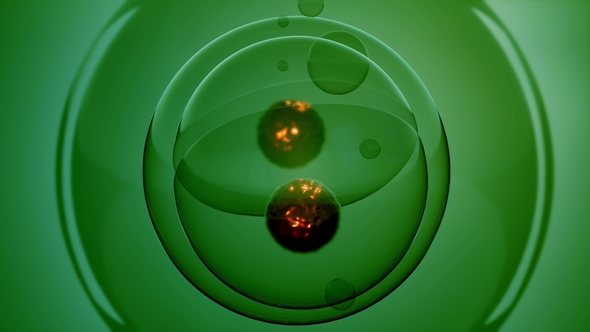 Rotate Cell Division alt