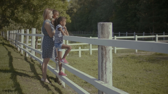 Multi Ethnic Family Resting in Nature Along Fence