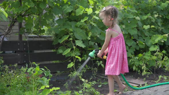 Little Girl Watering Vegetables Plant Hose Sprinkler Backyard Garden