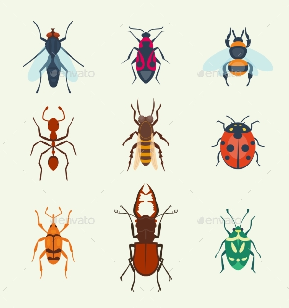 Vector Insects Icons Isolated on Background