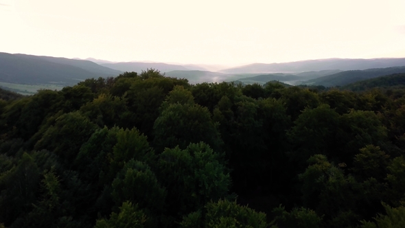 Flight Over Mountains Peaks, Sunset, Flight Above Forest an Mountains, Dovbush Aerial, Fly Over