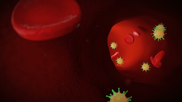 Bacteria Cells and Blood Cells Inside the Vein