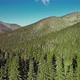 Flying Over Mountains Covered with Tall Spruce Forest in Winter - VideoHive Item for Sale