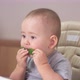 toddler 12-17 months old eats a green cucumber sitting on a feeding chair - VideoHive Item for Sale