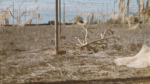 Abandoned Agricultural Farm Went Bankrupt Due To Climate Changes alt