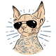 Sphynx Cat in Sunglasses - GraphicRiver Item for Sale