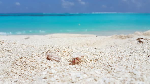 Wide angle overhead clean view of a sunshine white sandy paradise beach and blue ocean background in