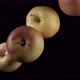 Flying Apples on a Black Background - VideoHive Item for Sale