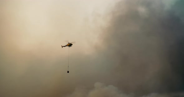 Wildfire on Forest Firefight Helicopter Fly Over Smoke and Drop Water to Fire
