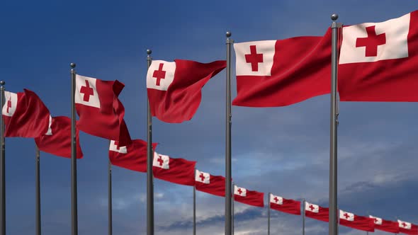 The Tonga Flags Waving In The Wind  4K