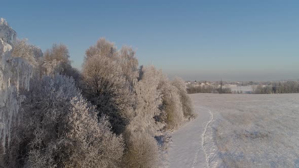 Winter Landscape in Countryside