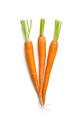 Three fresh young carrots with a cut tops isolated on white back - PhotoDune Item for Sale