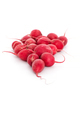 Ripe radishes lie on a white background. - PhotoDune Item for Sale