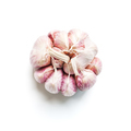 The head of pink garlic and lobules without skin on a white back - PhotoDune Item for Sale