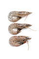 Three fresh royal prawns close-up on a white background. - PhotoDune Item for Sale