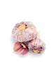 Young pink garlic on a clean white background close-up. - PhotoDune Item for Sale