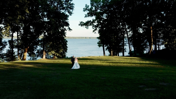 Bride and Groom in a Park Near Pond Aerial