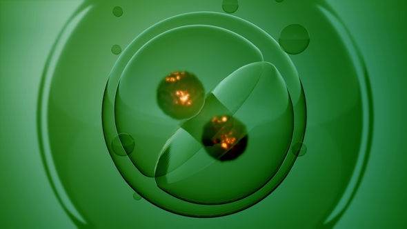 Rotate Cell Division alt