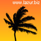 Palm Trees - VideoHive Item for Sale