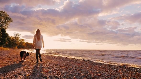 Young Woman Walking with a Dog on the Shore of Lake Ontario at Sunset