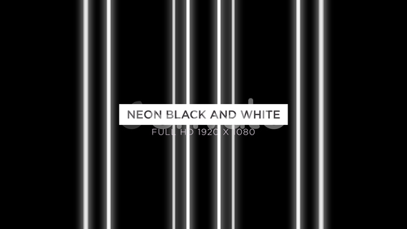 Neon Black And White