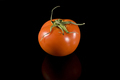tomato - PhotoDune Item for Sale