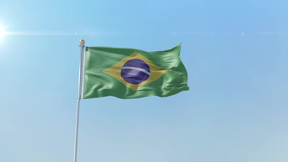 Brazil  Flag 