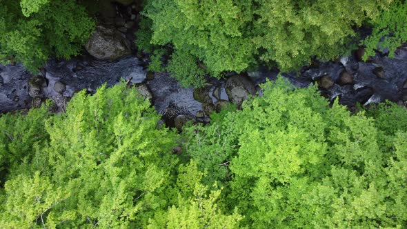 Aerial View of a Stream in the Forest in Rhodope Mountains Near the Town of Devin