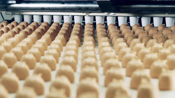 Fabrication of Fudge Candies Carried Out By a Factory Machine