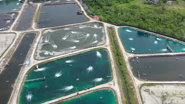 Birds eye view overlooking at the controlled environment of aquaculture industry, fish farms with ae