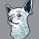 Tattooed Chihuahua | Vector Art - GraphicRiver Item for Sale