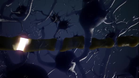 3D Animation of neural network and neurons firing alt