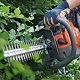 Petrol Hedge Clippers