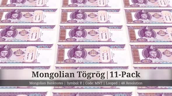 Mongolian Tögrög | Mongolia Currency - 11 Pack | 4K Resolution | Looped