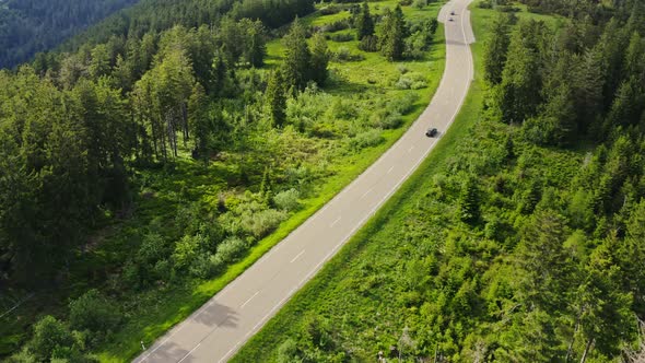 A Green Hilly Valley Overgrown with a Dense Spruce Forest