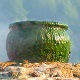 Witch Cauldron Boiling