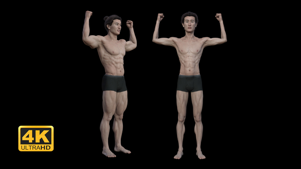 Muscle Gain/Loss - Asian Male