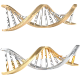 DNA - GraphicRiver Item for Sale