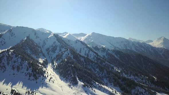 View of Snowy Mountains and Forest