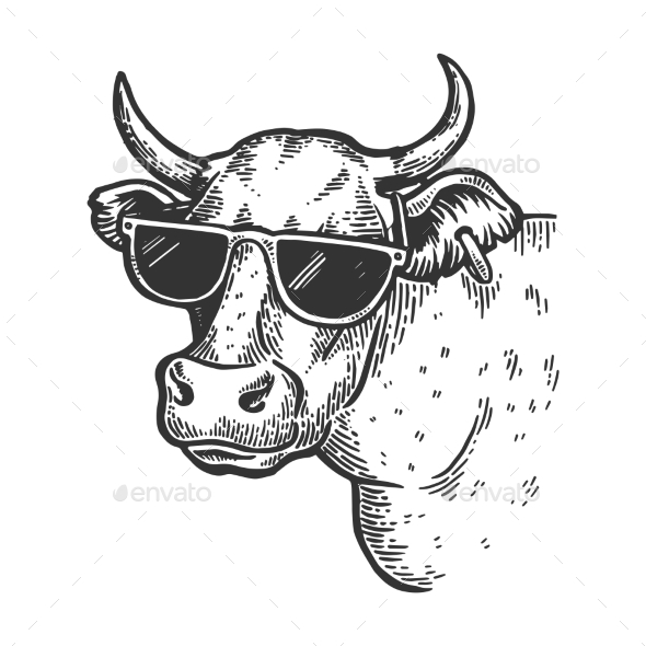 Cow in Sunglasses Engraving Vector