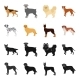 Dog Breeds Black,cartoon Icons in Set Collection - GraphicRiver Item for Sale