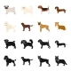 Dog Breeds Black,cartoon Icons in Set Collection - GraphicRiver Item for Sale