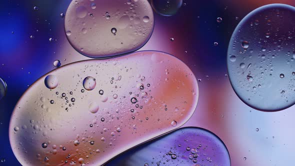 Abstract Colorful Food Oil Drops Bubbles 191 alt